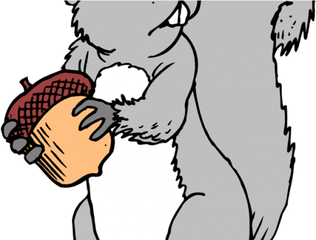 Gray Squirrel Cliparts - Squirrel With Acorn Coloring Page (640x480), Png Download