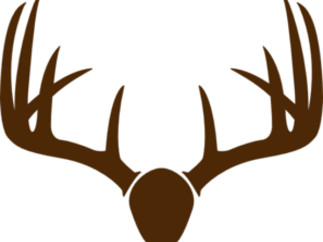 Antler Clipart Brown Deer - Deer Antlers Transparent Background (640x480), Png Download