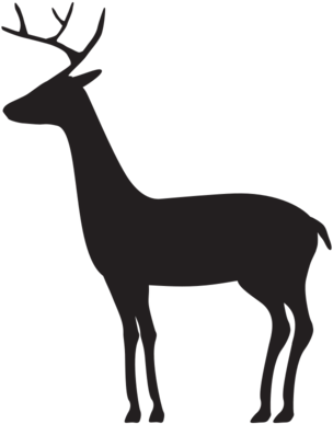 Aria Gold Ribbon - Elk (580x580), Png Download