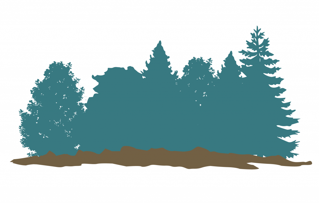 About The Eclipse - Pine Tree Png Vector (1024x653), Png Download