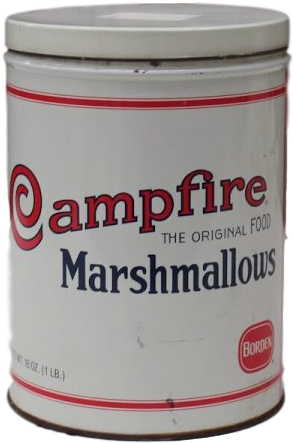 Campfire Marshmallow Tin - Owl Themed Birthday Party (600x600), Png Download