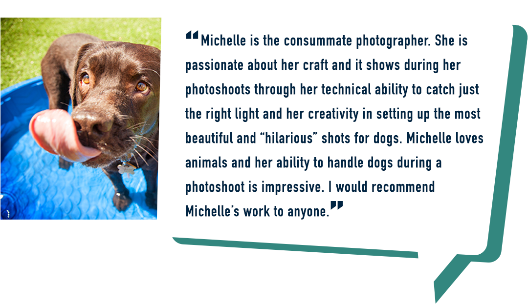 Lucy Testimonials - Brown Bear (1202x831), Png Download