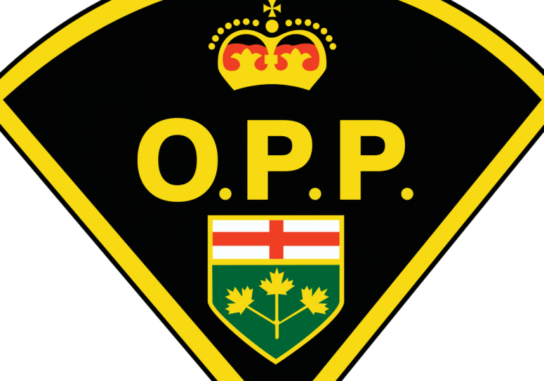22% Increase In Non-emergency And Accidental 911 Calls - Ontario Provincial Police Logo Png (770x540), Png Download