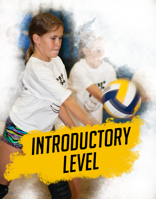Tsf Player Progression Pathway - Poster (535x681), Png Download