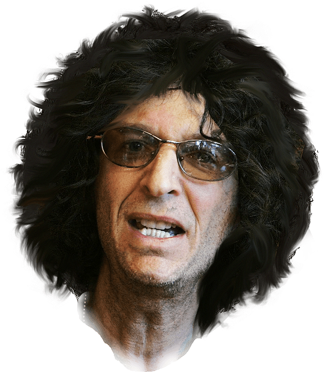 Lace Wig (750x783), Png Download