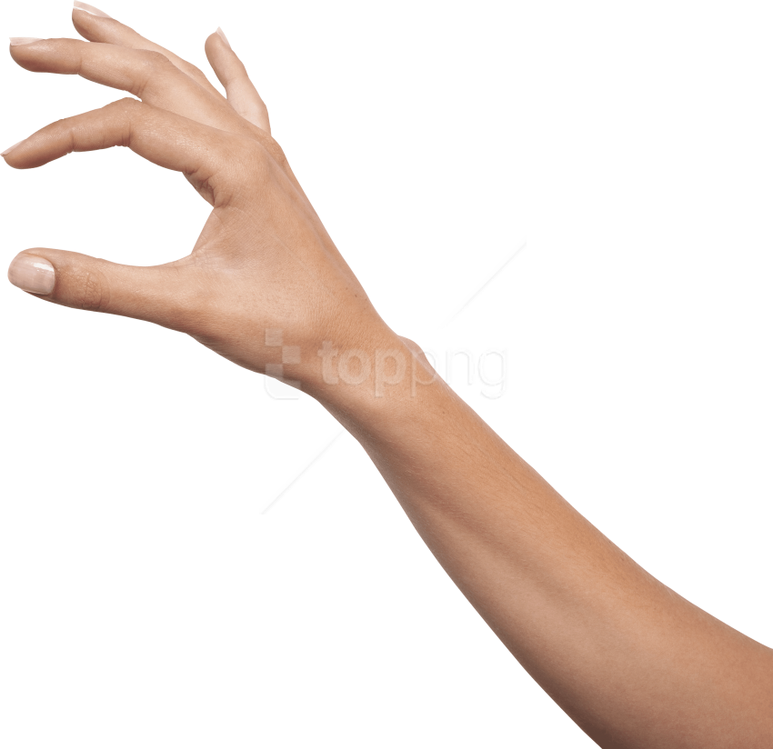 Free Png Download Hands Png Images Background Png Images - Рука Пнг (850x824), Png Download