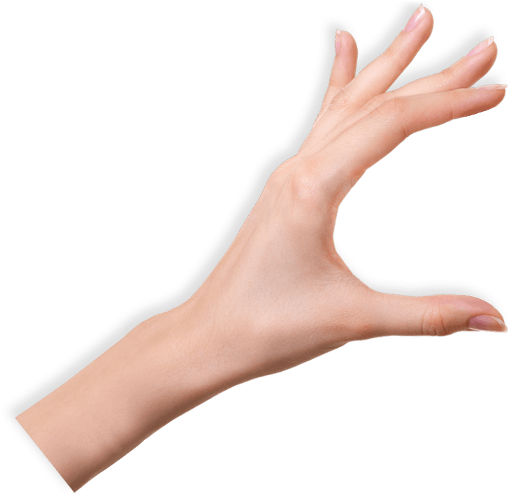 Png Hd Of Hands Transparent Hd Of Hands Png Images - Hand Hd Png (769x762), Png Download