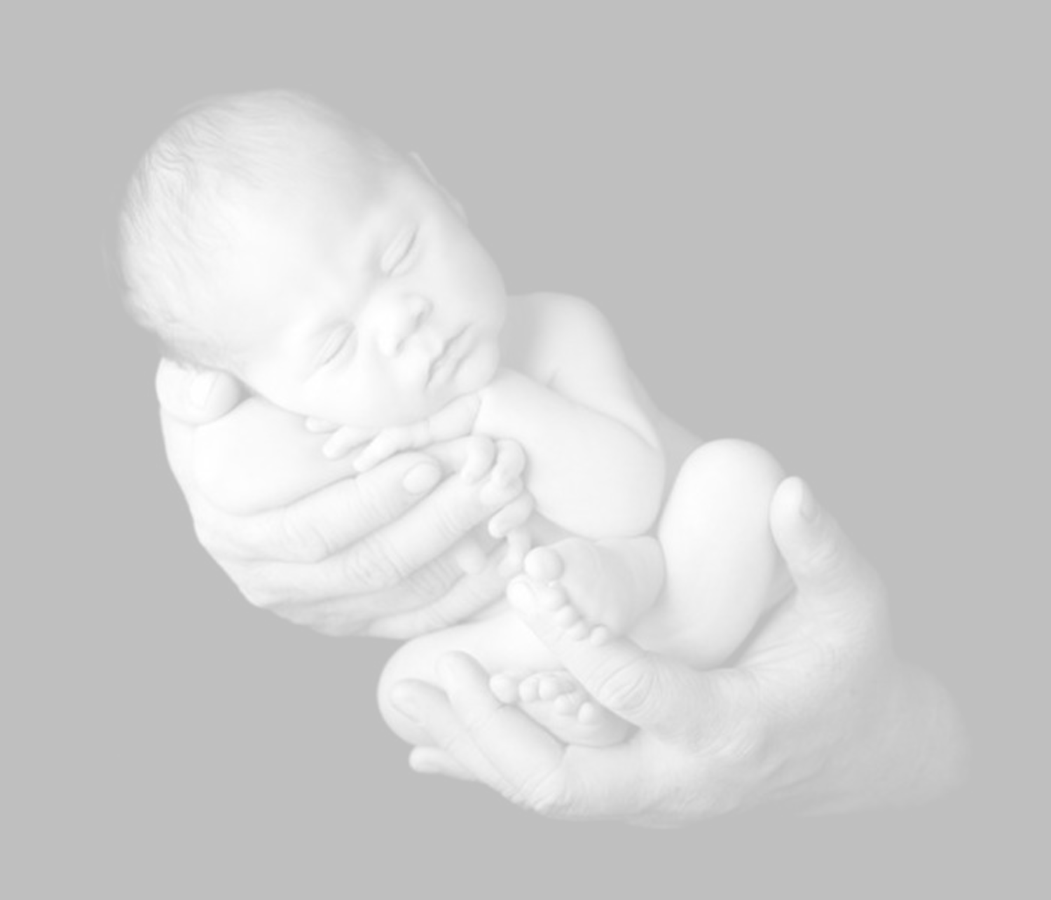 Baby In Hands Fade - Abortion Murder Double Homicide (1500x1284), Png Download