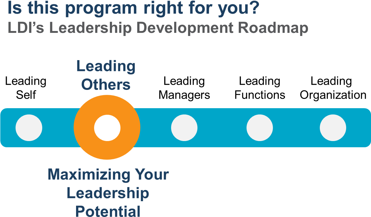 Mlp-leadership Development Roadmap - Bright Language (1216x773), Png Download