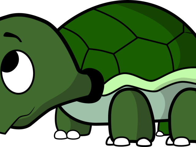 Turtoise Clipart Racing Turtle - Transparent Background Tortoise Clipart (640x480), Png Download