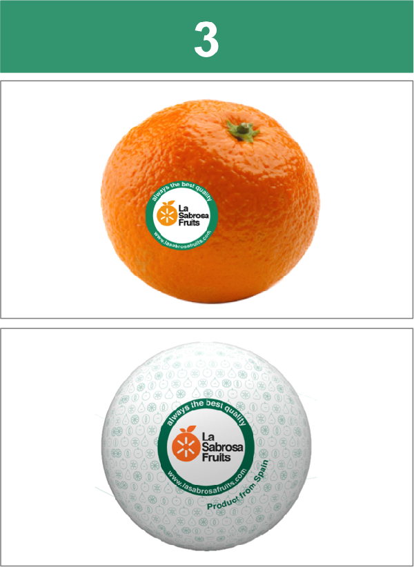 3 1 - Tangerine (600x822), Png Download