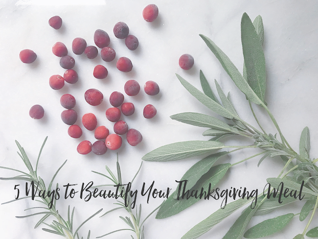 Beautiful-thanksgiving - Png - Chinese Peony (650x488), Png Download