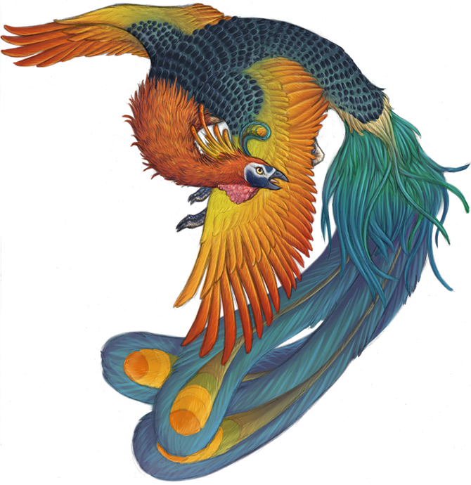 Phoenix Bird Harry Potter - Fenghuang Monster (670x690), Png Download
