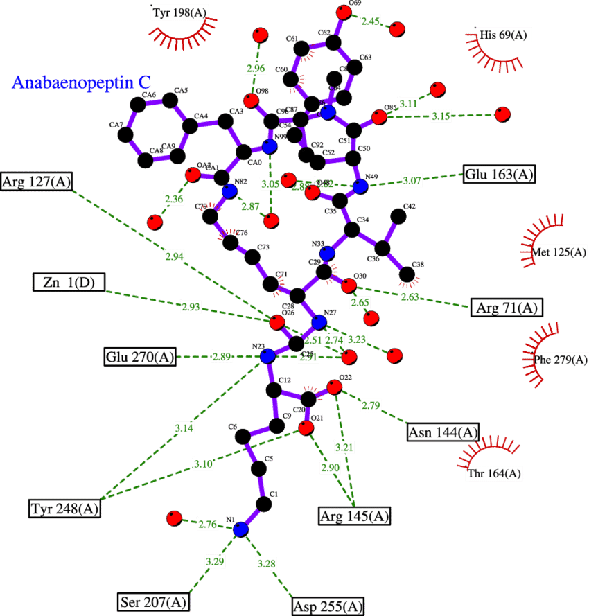 Cartoon Of The Interactions Between 2 And The Carboxypeptidase - Carboxypeptidase Active Site (850x889), Png Download