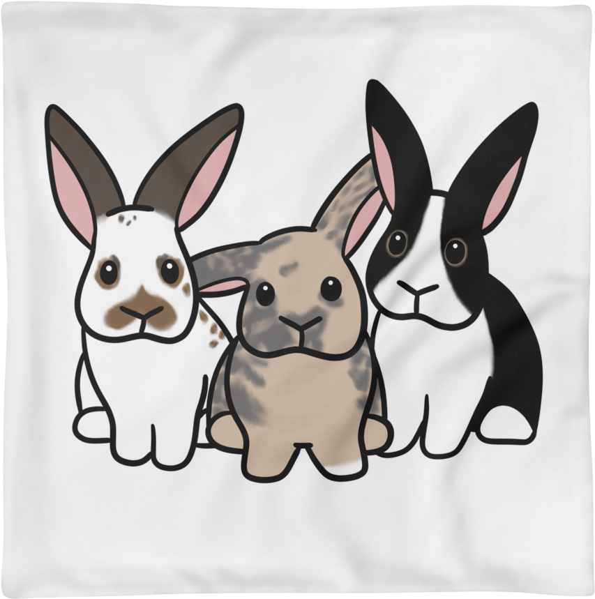 Roxy Coco And Taz Square Pillow Case Only - Domestic Rabbit (1000x1000), Png Download