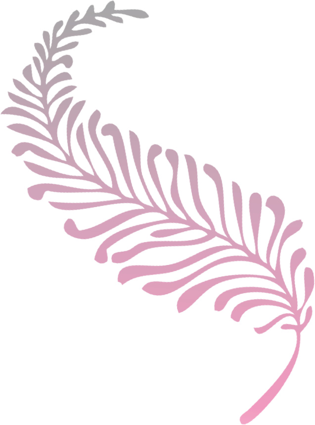 About The Black Feather Intuitive - Illustration (637x858), Png Download