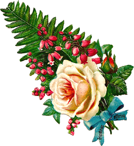 Free Antique Flower Clip Art Roses - Garden Roses (595x620), Png Download