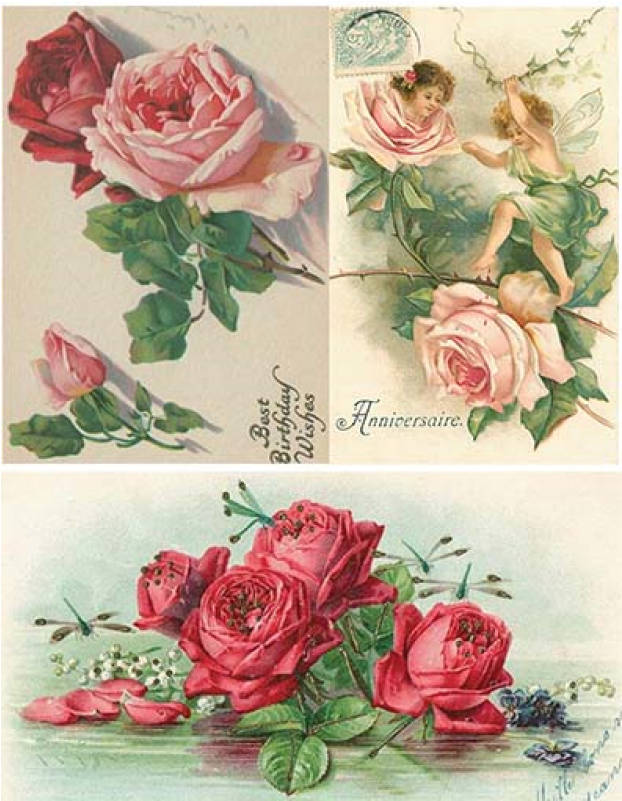 Decoupage (800x800), Png Download