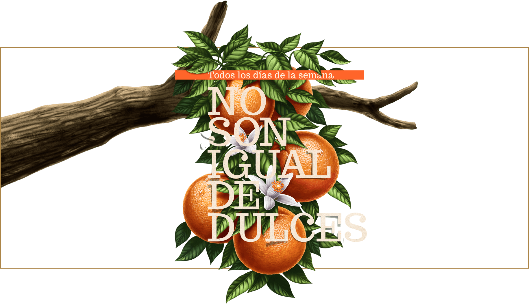 Arbol Naranjas Tunez - Tunez Jugos (1920x1200), Png Download
