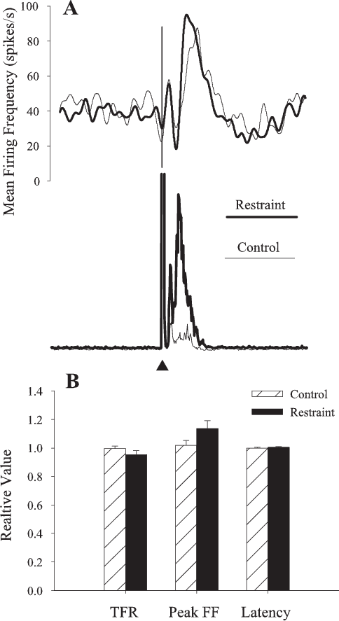 Burst Neuron Activity With Blink Adaptation - Diagram (484x887), Png Download