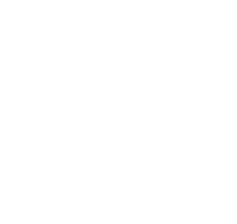 Light Ray - Png Format Twitter Logo White (968x914), Png Download