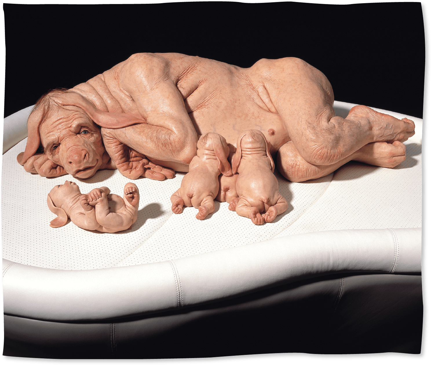 Third Drawer Down X Patricia Piccinini, The Young Family - Patricia Piccinini The Young Family (2501x2084), Png Download