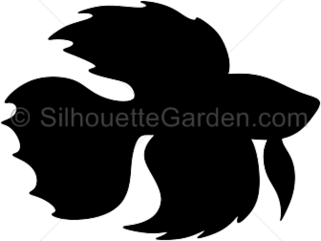 Betta Fish Black And White Png (640x480), Png Download