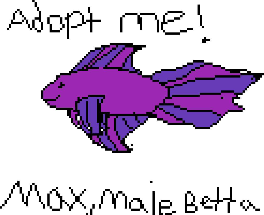 Male Betta Adoptable (1125x900), Png Download