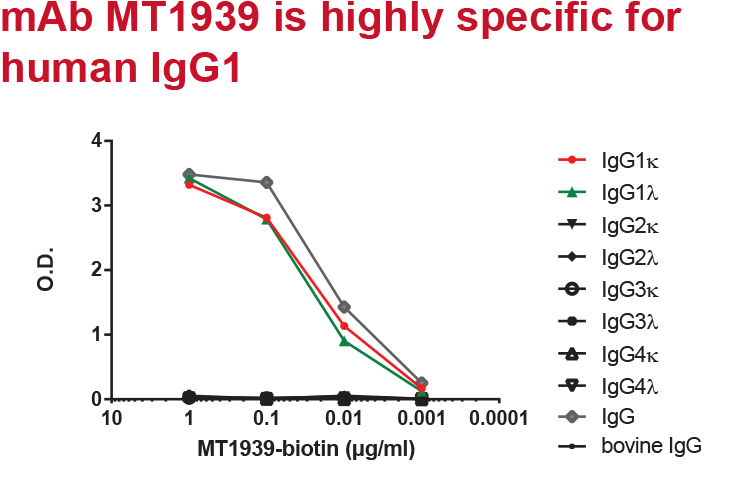 Monoclonal Antibody Mt1939 Is Highly Specific For Human - Right Thing (800x524), Png Download