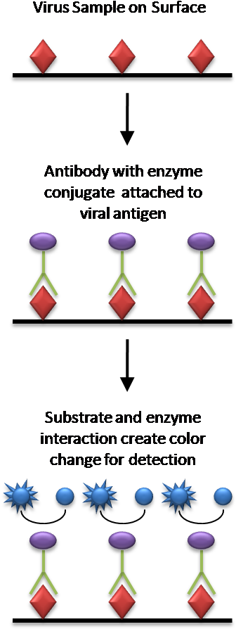 Image - Mac Elisa Vs Elisa (344x912), Png Download
