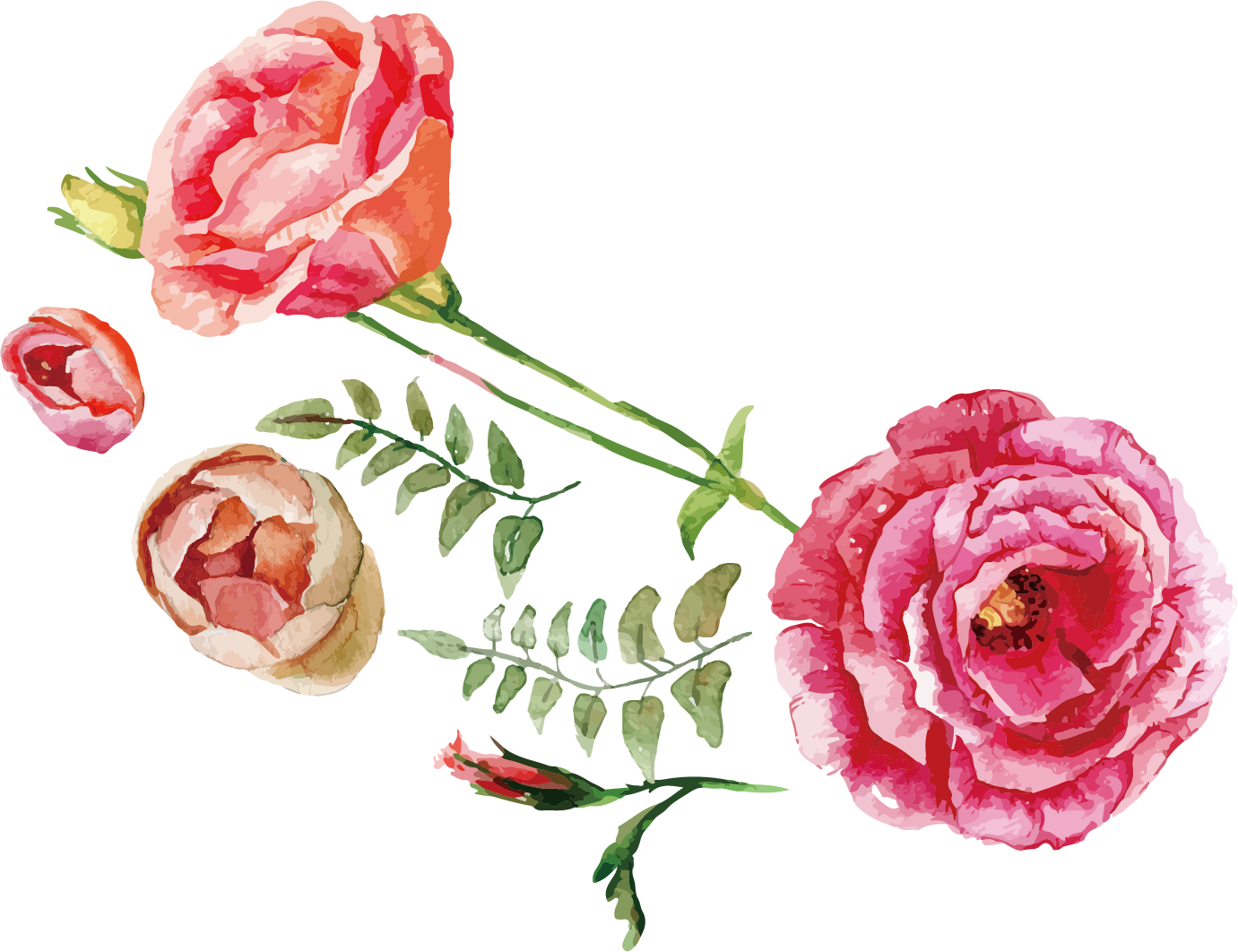 1381 X 1062 5 - Watercolor Roses Png (1381x1062), Png Download