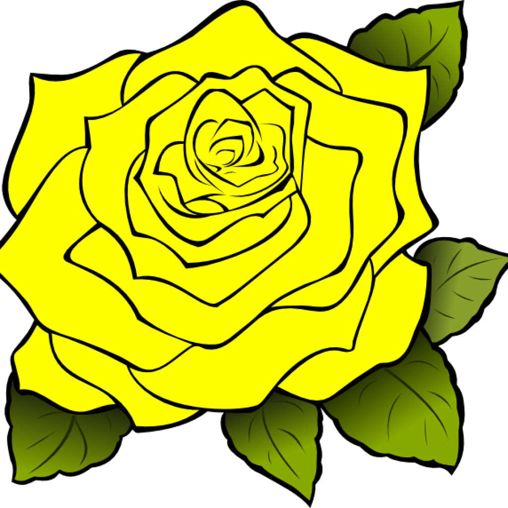Yellow Rose Clipart Yellow Rose Clipart Yellow Rose - Rose Outline No Background (1024x1024), Png Download