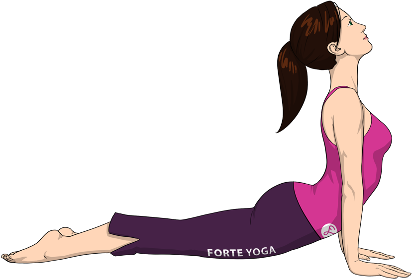Upward Facing Dog Yoga Pose - Pilates (900x675), Png Download
