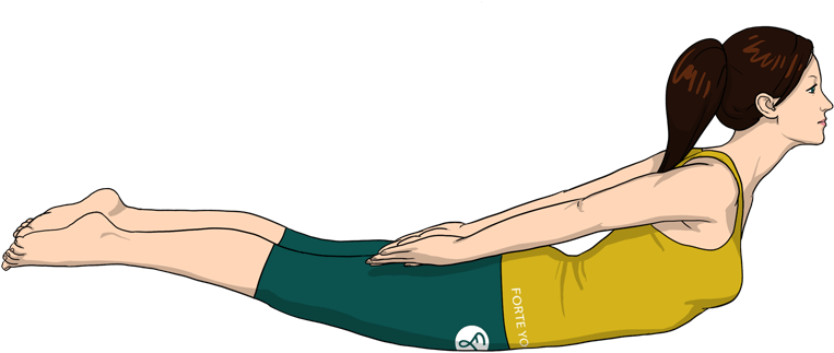 Locust Yoga Pose Forte - Press Up (900x675), Png Download