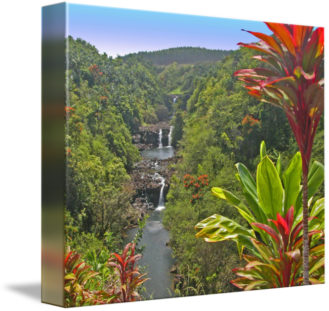 Waterfall Hilo Hawaii By Steven Schiller - Botanical Garden (650x615), Png Download