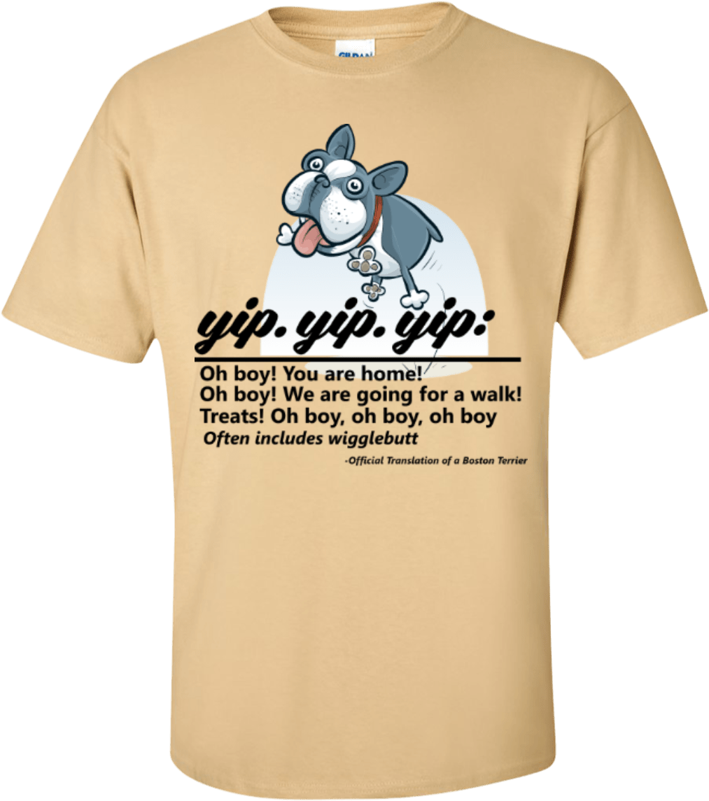 Tapir (1155x1155), Png Download