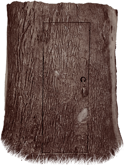 Nature Shed - Throw Pillow (704x832), Png Download