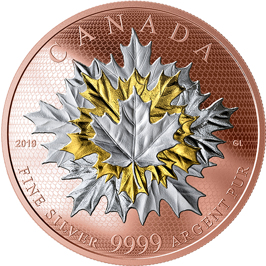 170554 Rev-570 - Maple Leaves In Motion (570x570), Png Download