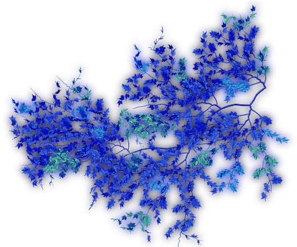 07 349k Creepers Blue G 06 Feb 2009 - Fractal Flower Png Transparent (640x480), Png Download