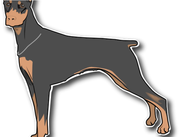 Doberman Cliparts - Dobermann (640x480), Png Download