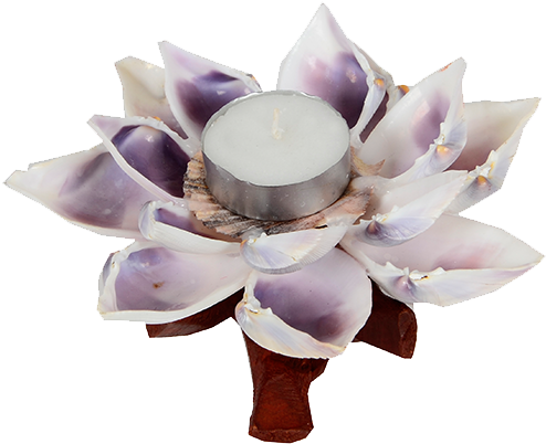 Sea Shell Decorative Products - Artificial Flower (500x750), Png Download