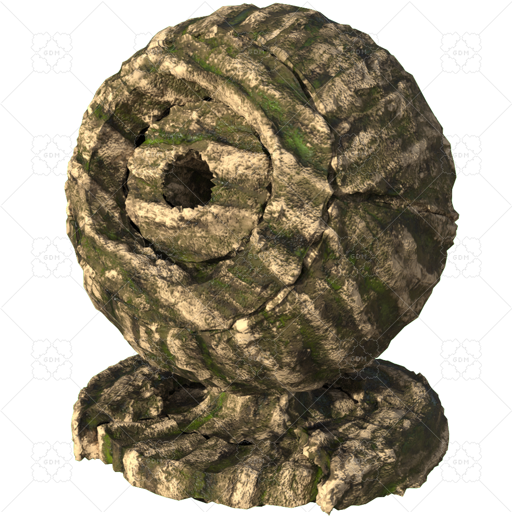 Sample File - Pond Pine (1024x1024), Png Download