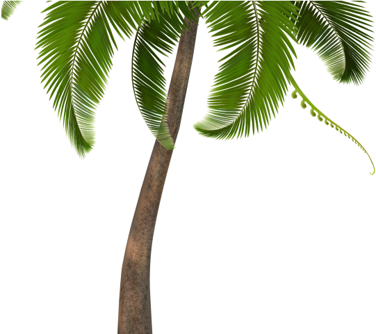 England Clipart Palm Tree - Babyface Ray I Did This Today 2 (640x480), Png Download