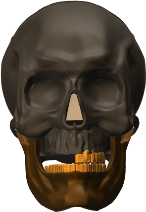 Skull (1024x768), Png Download