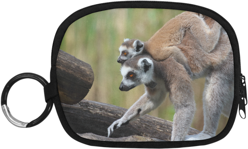 Ring-tailed Lemur Catta Katta Mother And Baby Coin - Coin Purse (1000x1000), Png Download