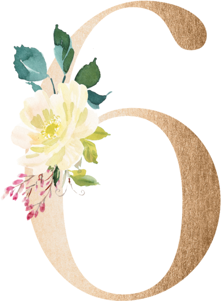 #seis #6 #six #numeros #numero #number #numbers #number - Numero 6 Floral Png (1024x1024), Png Download