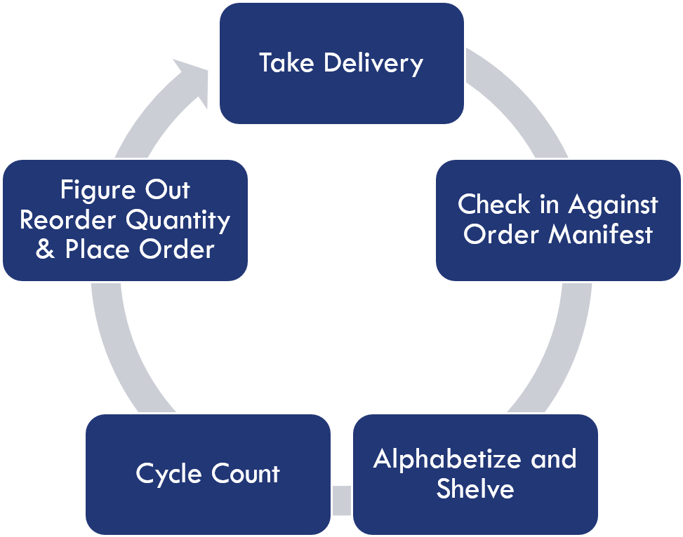Manual Cycle - Resistance Training Mtor Protein Synthesis Pathway (1075x765), Png Download