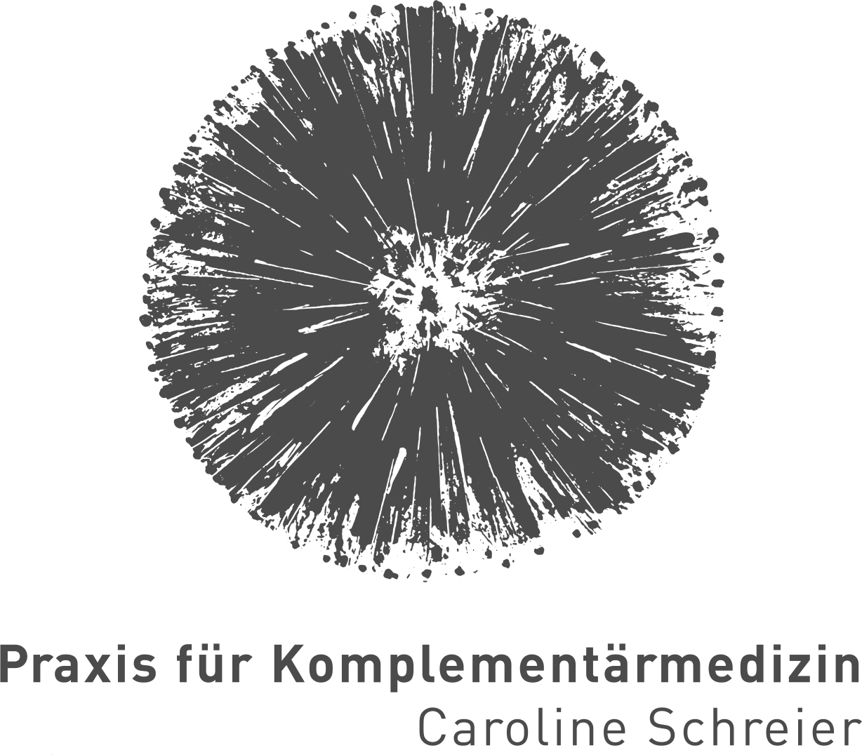 Blutegeltherapie Hirudo-therapie Komplemed Solothurn - Circle (1228x1076), Png Download