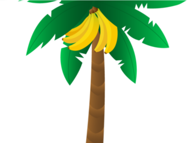 Leaves Clipart Banana Leaf - Transparent Banana Tree Clipart (640x480), Png Download
