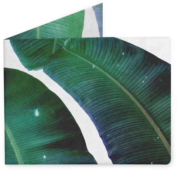Carteira Cosmic Banana Leaves De 83 Oranges™na - Roystonea (800x800), Png Download